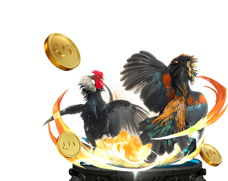 Đá gà trực tuyến Nohu90