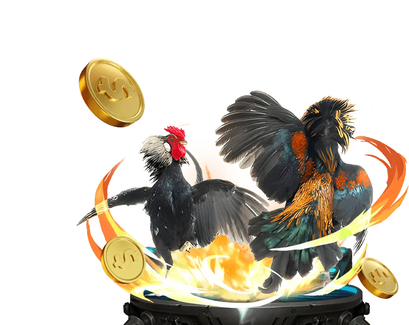 Đá gà trực tuyến Nohu90